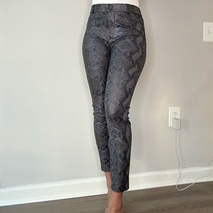 Coated Snake Print Pants